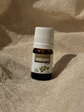 Aceite Esencial de Orégano 100% Natural | 10ml