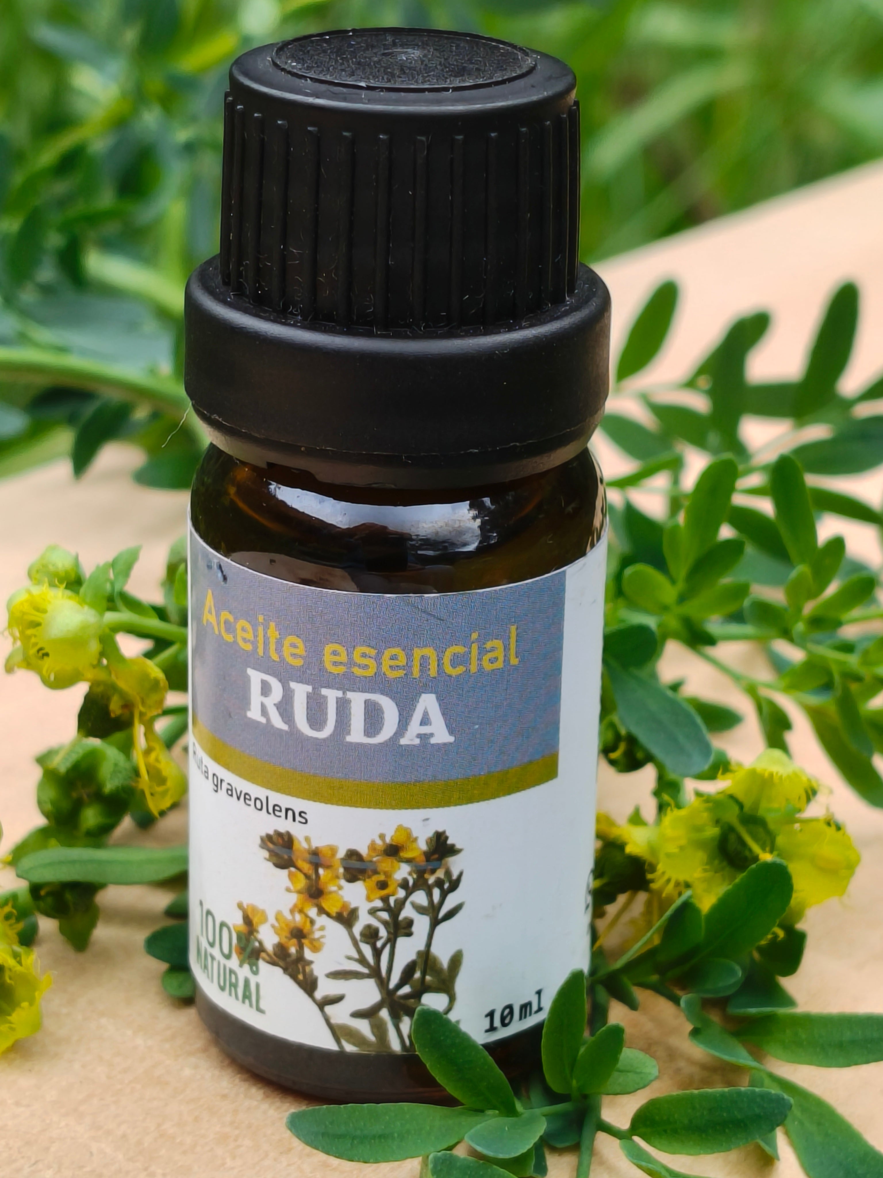 Aceite Esencial de Ruda 100% Natural | 10ml