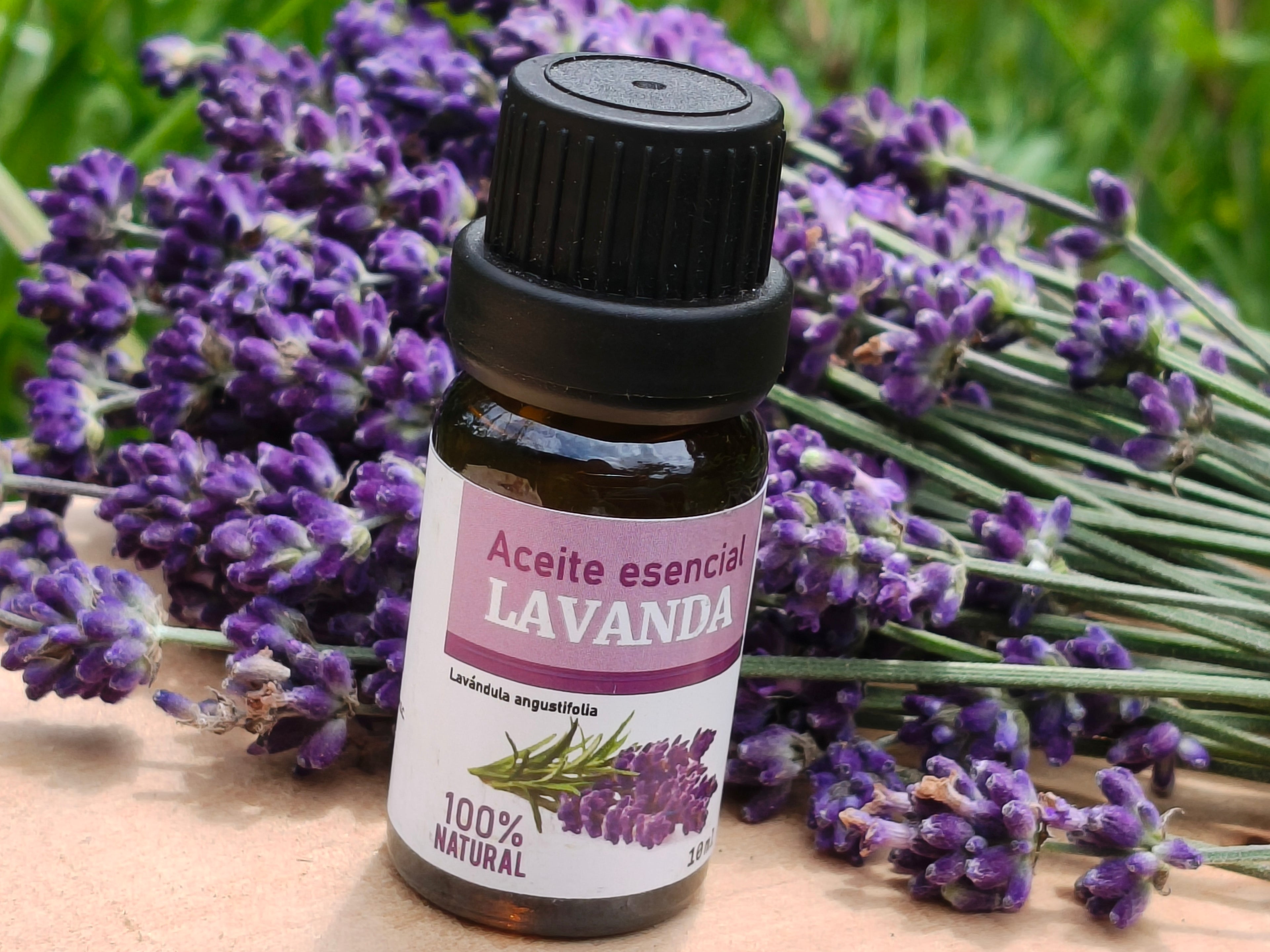 Aceite Esencial de Lavanda 100% Natural | 10ml