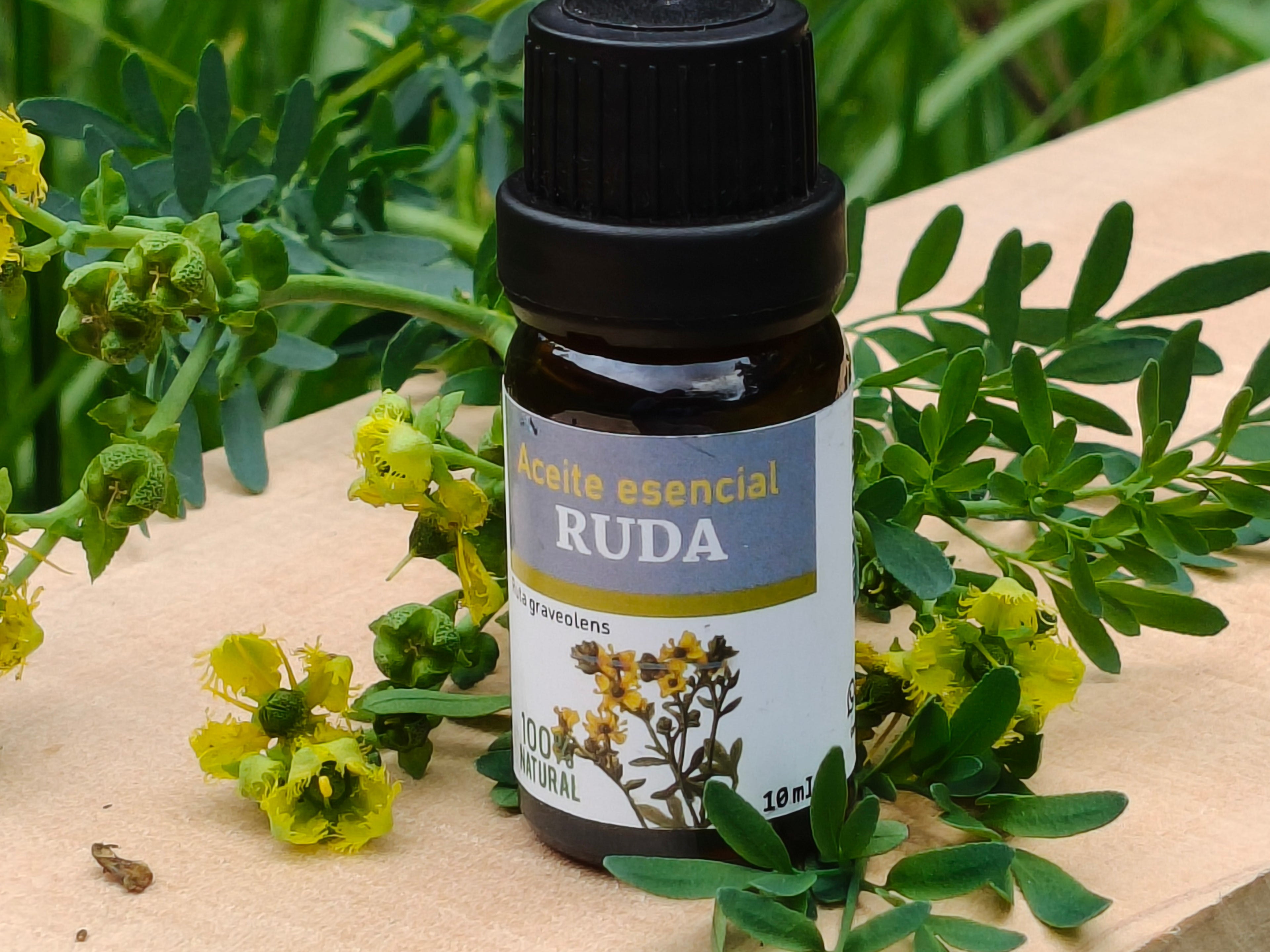 Aceite Esencial de Ruda 100% Natural | 10ml